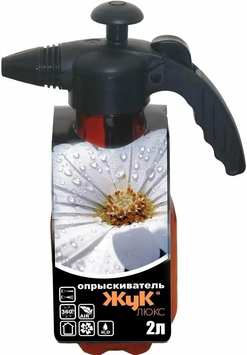 ро ж6 1